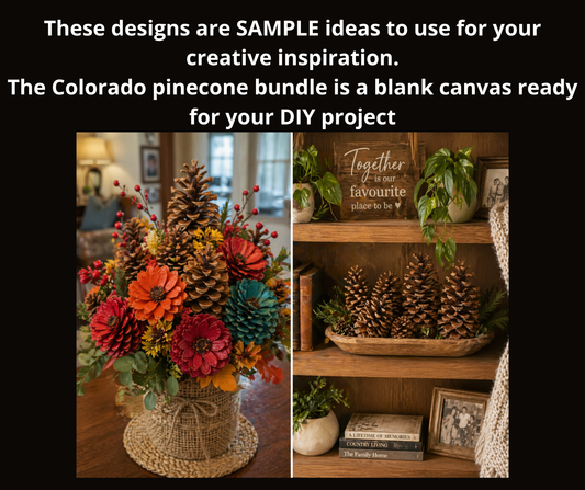 Bundle of 3 Extra Large Pinecones for Crafts ~ Natural Colorado Pinecones for DIY Decor
