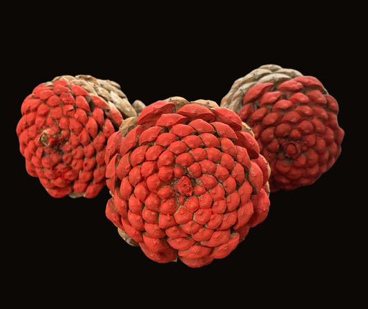 Reversable Pinecones Red (Set of 3)