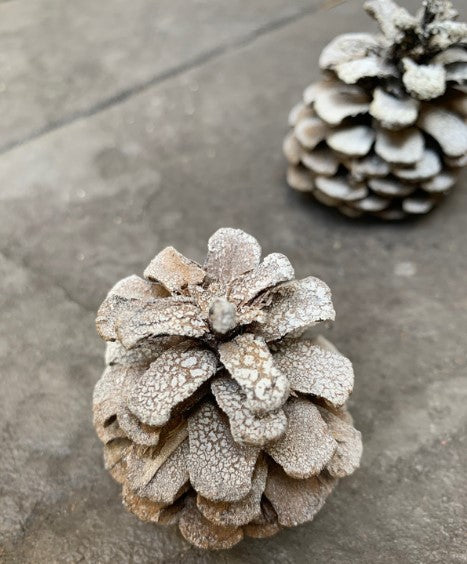 Artificial Snow Covered Pine Cones ~ Set of 5 ~ Sizes Vary