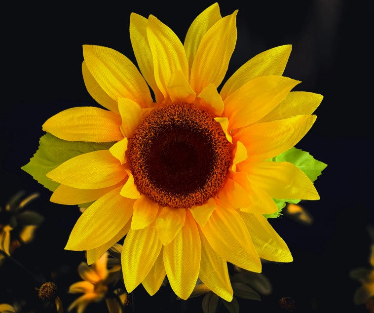 Large Happy Sunflower